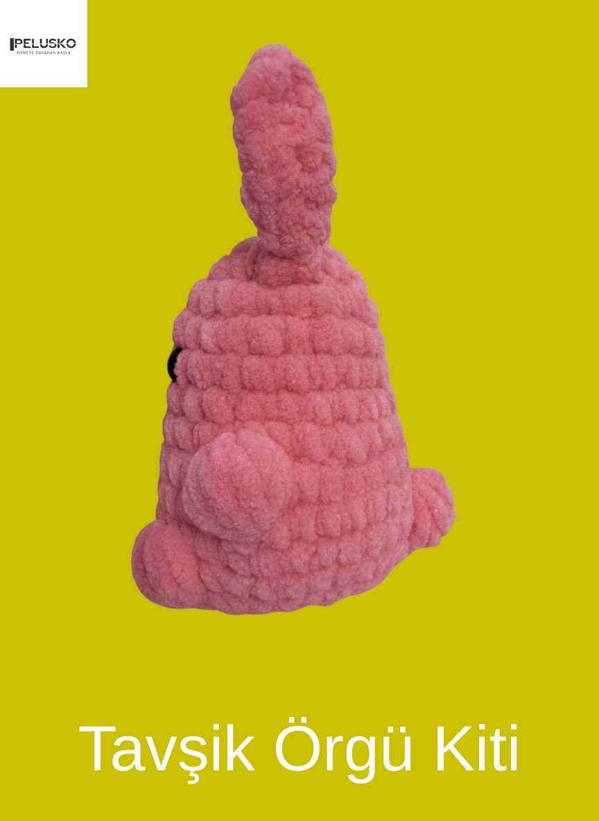 Tavşik Örgü Kiti (Yeni Başlayanlara Özel)